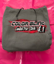 Load image into Gallery viewer, 2024 Color Blind Hoodie
